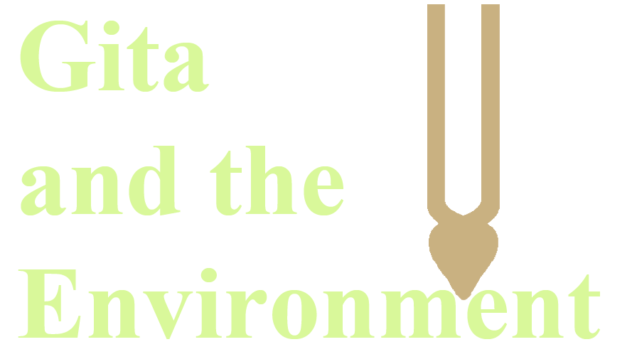 Gita and the Environment